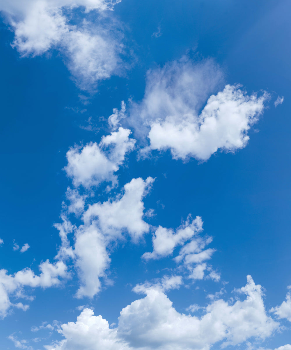 5117 Sky Ceiling Tile – ceilingscenes