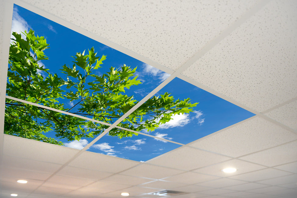 5160 Sky & Trees Ceiling – ceilingscenes
