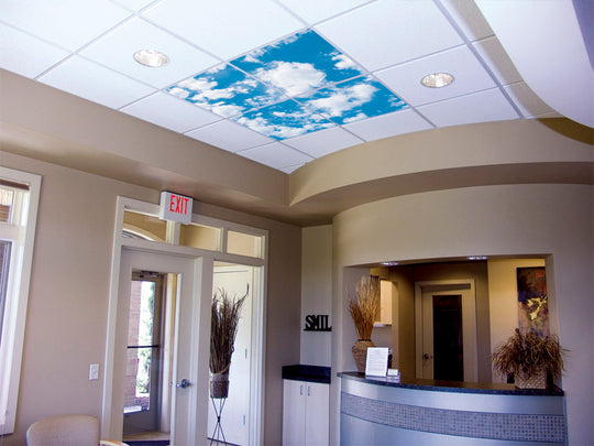 Installation Photo Gallery | Ceiling Scenes – ceilingscenes