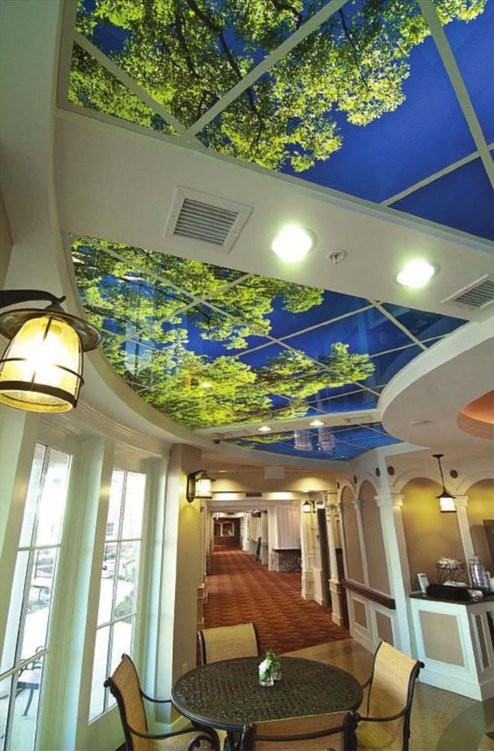 Ceiling Set Up Installation Photo Gallery | Ceiling Scenes – ceilingscenes