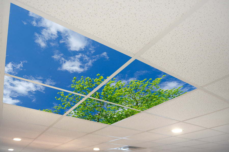 5146 Sky & Trees Ceiling Tile – ceilingscenes