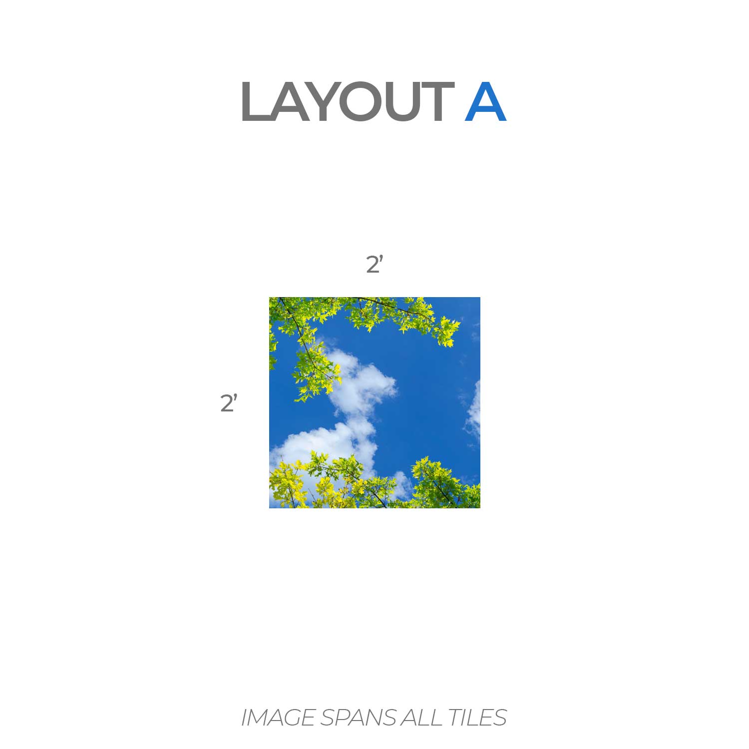 5151 Sky & Trees Ceiling Tile – ceilingscenes