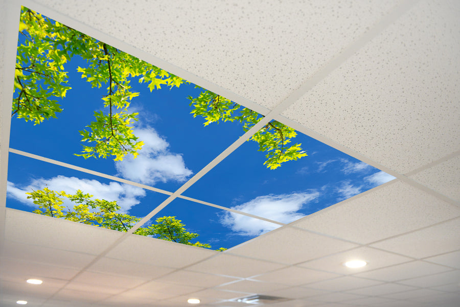 Tuile de plafond 5151 Ciel et arbres