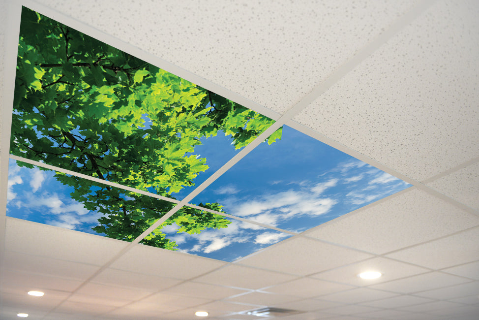5154 Sky & Trees Ceiling Tile – ceilingscenes