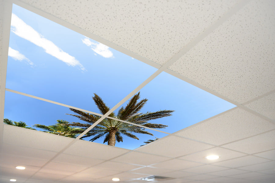 5212 Sky & Trees Ceiling Tile – ceilingscenes