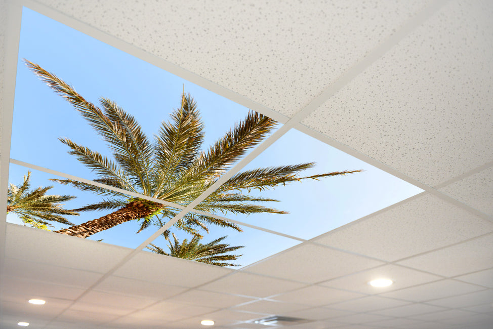 5218 Sky & Trees Ceiling Tile – ceilingscenes