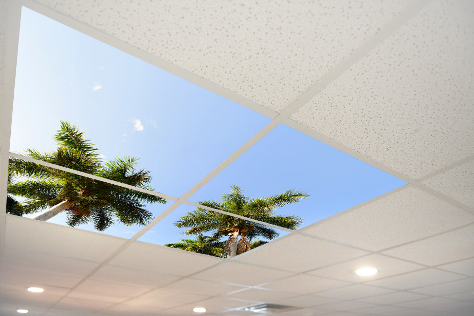 5219 Sky & Trees Ceiling Tile – ceilingscenes
